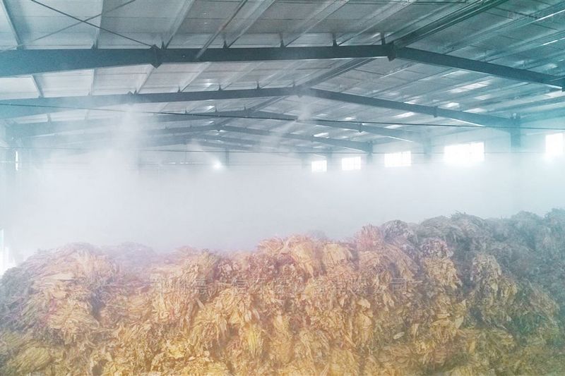 提升煙葉加工質(zhì)量，高效回潮很重要