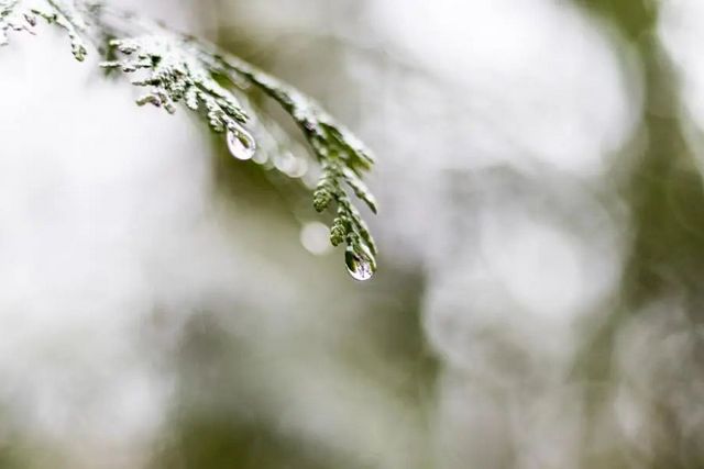 空氣濕度大帶來的危害有哪些，你知道嗎？