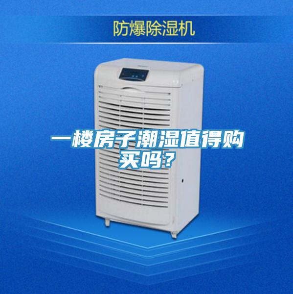 一樓房子潮濕值得購買嗎？