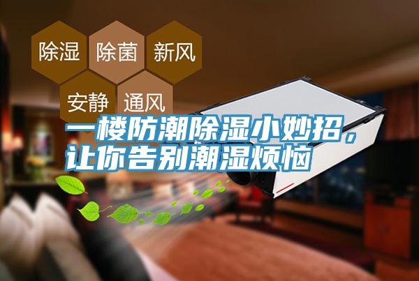 一樓防潮除濕小妙招，讓你告別潮濕煩惱