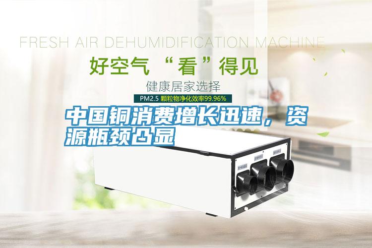 中國(guó)銅消費(fèi)增長(zhǎng)迅速，資源瓶頸凸顯