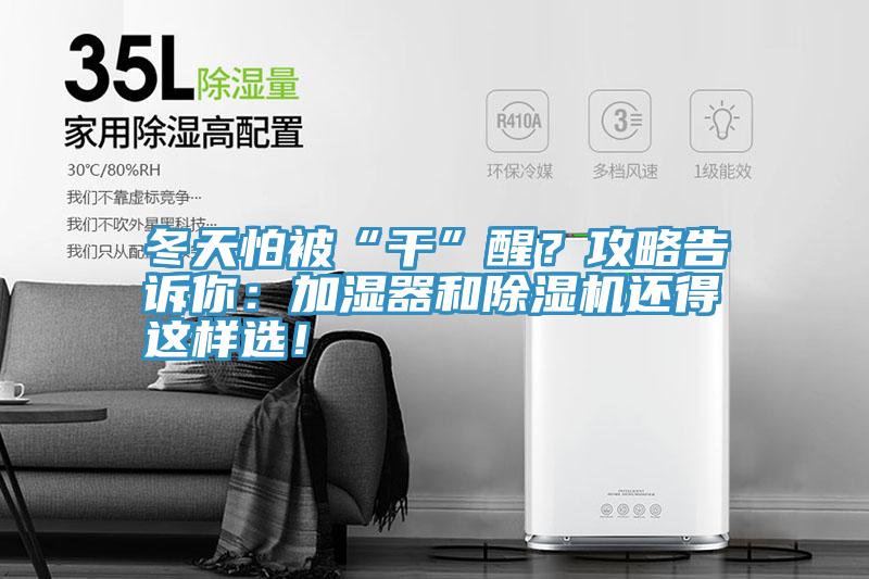 冬天怕被“干”醒？攻略告訴你：加濕器和除濕機還得這樣選！