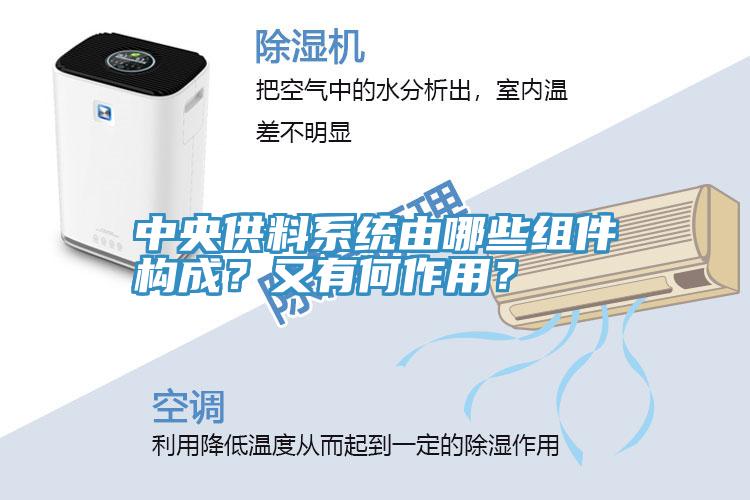 中央供料系統(tǒng)由哪些組件構(gòu)成？又有何作用？