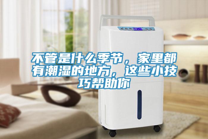 不管是什么季節(jié)，家里都有潮濕的地方，這些小技巧幫助你