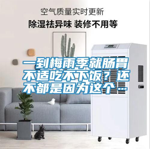 一到梅雨季就腸胃不適吃不下飯？還不都是因為這個…