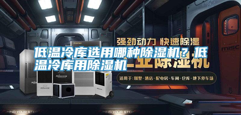 低溫冷庫選用哪種除濕機？低溫冷庫用除濕機