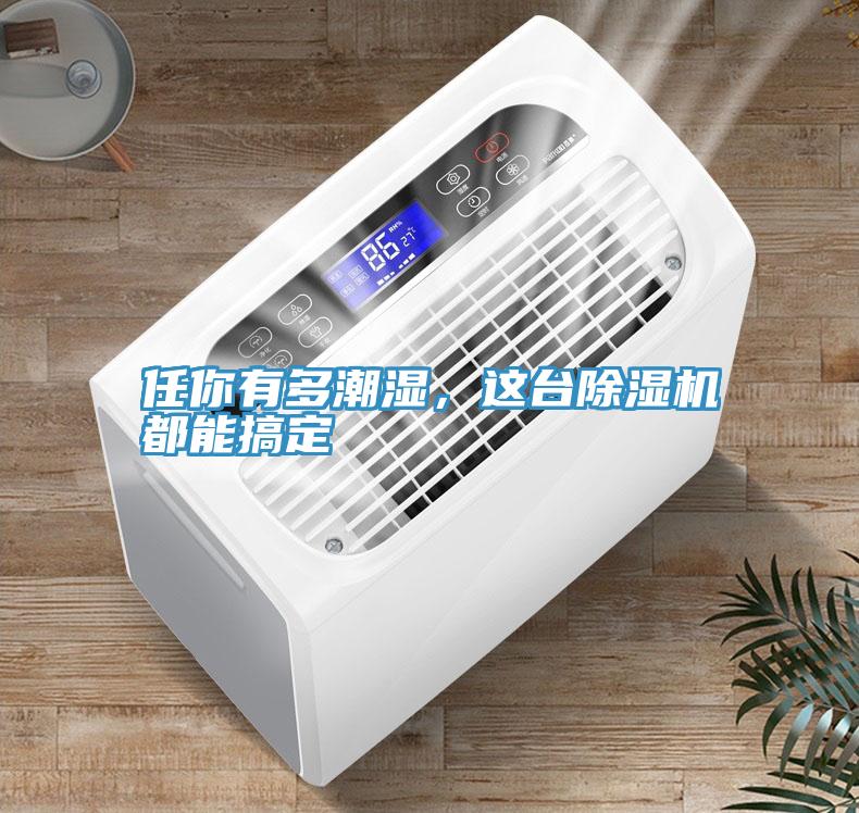 任你有多潮濕，這臺(tái)除濕機(jī)都能搞定