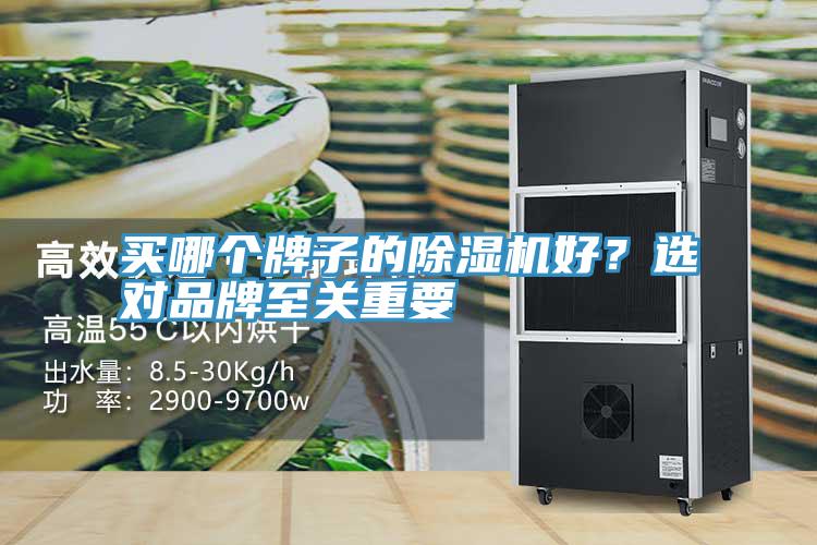 買哪個牌子的除濕機(jī)好？選對品牌至關(guān)重要