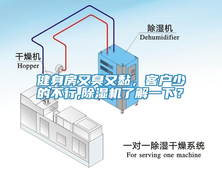 健身房又臭又黏，客戶少的不行,除濕機了解一下？