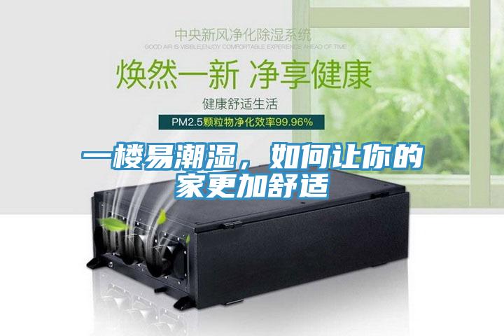 一樓易潮濕，如何讓你的家更加舒適