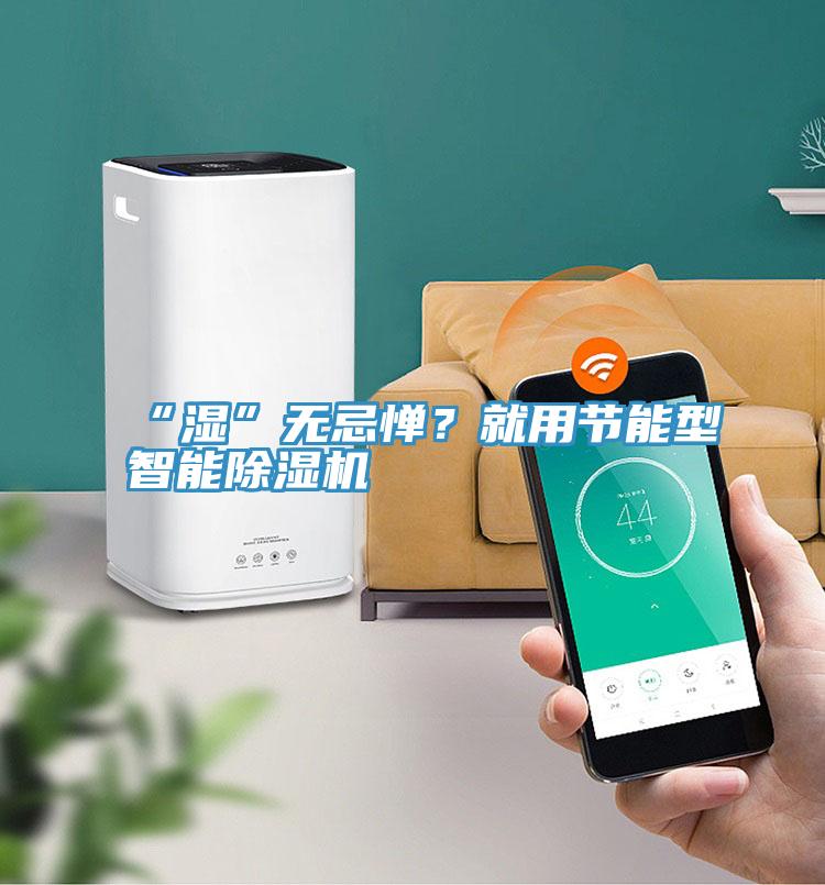“濕”無忌憚？就用節(jié)能型智能除濕機(jī)