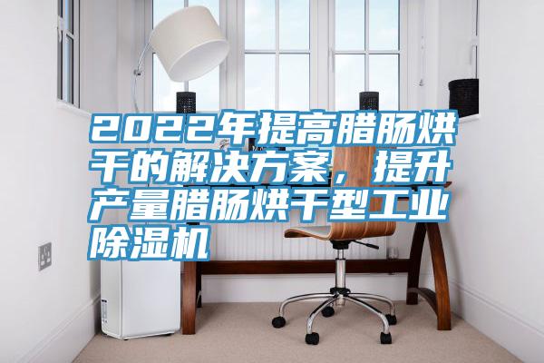 2022年提高臘腸烘干的解決方案，提升產(chǎn)量臘腸烘干型工業(yè)除濕機
