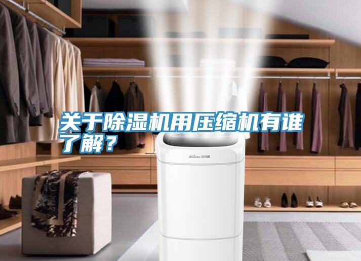 關(guān)于除濕機(jī)用壓縮機(jī)有誰了解？