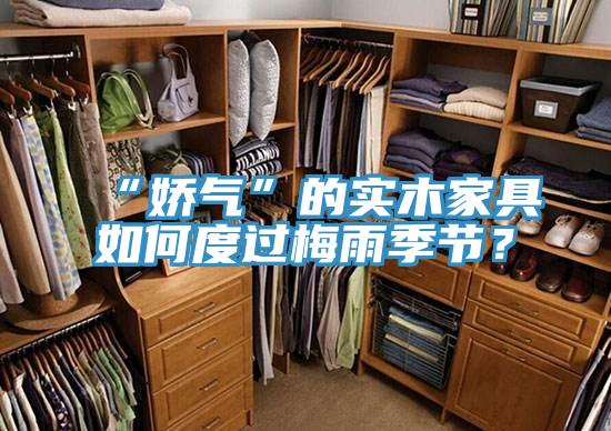 “嬌氣”的實(shí)木家具如何度過梅雨季節(jié)？
