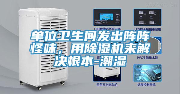 單位衛(wèi)生間發(fā)出陣陣怪味，用除濕機來解決根本-潮濕