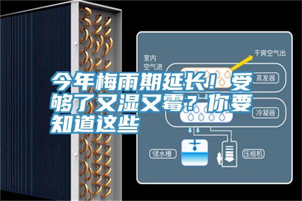 今年梅雨期延長(zhǎng)！受夠了又濕又霉？你要知道這些