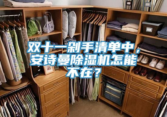 雙十一剁手清單中，安詩曼除濕機怎能不在？