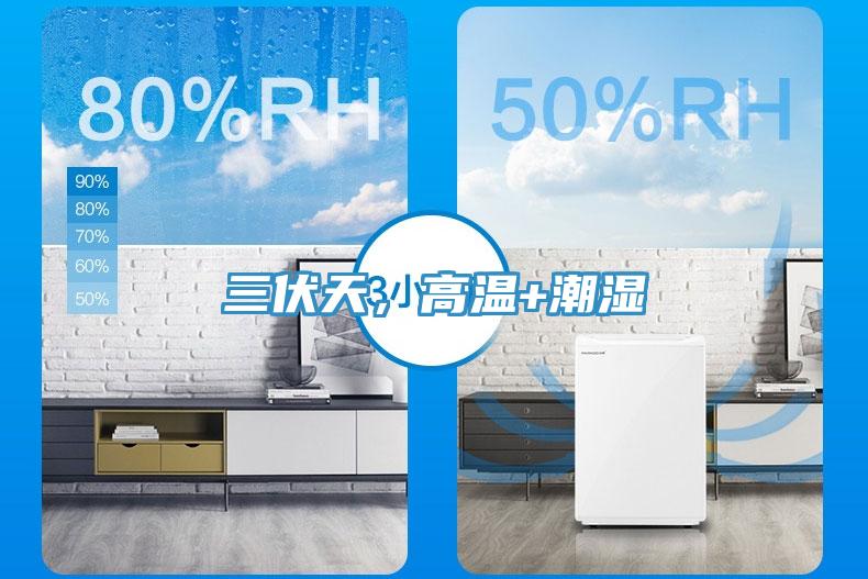 三伏天，高溫+潮濕