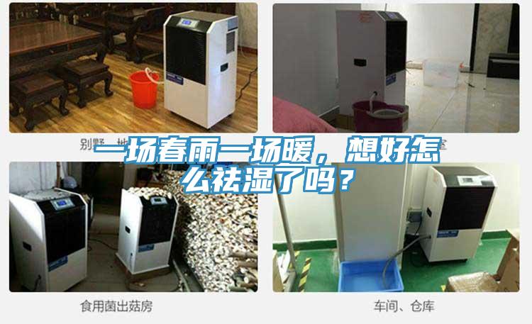 一場春雨一場暖，想好怎么祛濕了嗎？