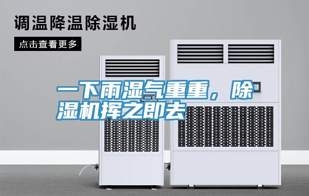 一下雨濕氣重重，除濕機揮之即去