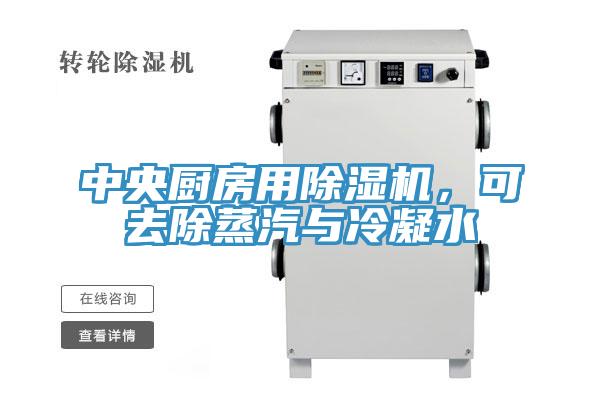 中央廚房用除濕機，可去除蒸汽與冷凝水