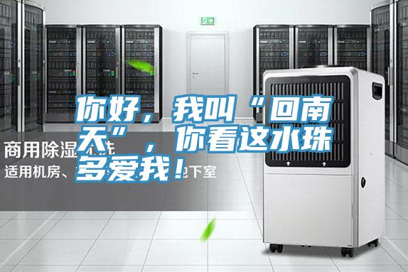 你好，我叫“回南天”，你看這水珠多愛我！