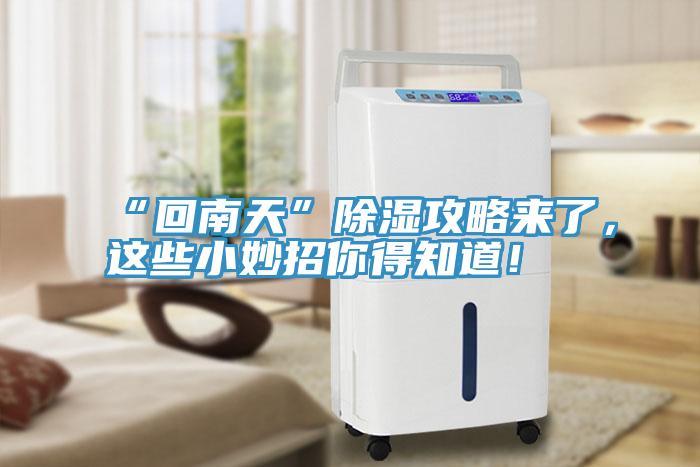 “回南天”除濕攻略來了，這些小妙招你得知道！