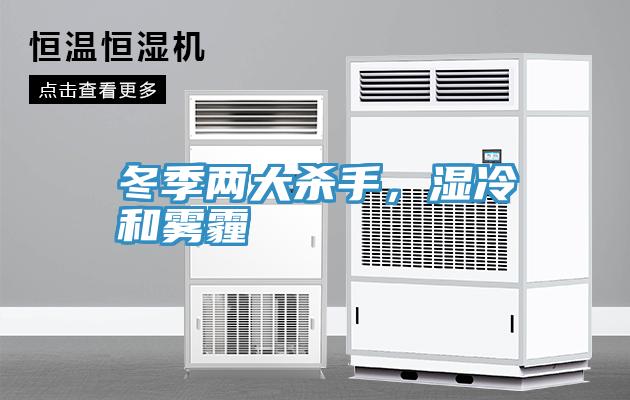 冬季兩大殺手，濕冷和霧霾