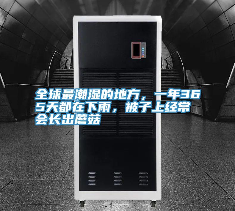 全球最潮濕的地方，一年365天都在下雨，被子上經(jīng)常會長出蘑菇