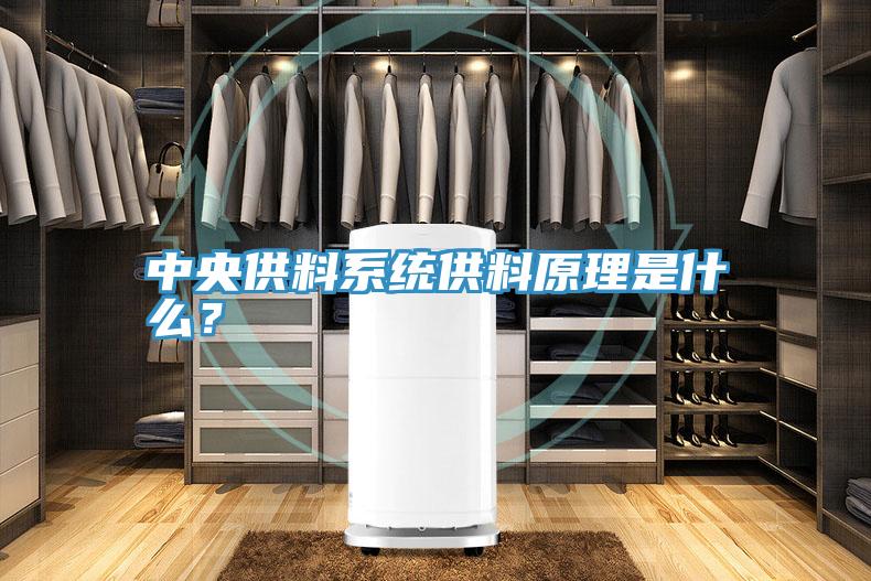 中央供料系統(tǒng)供料原理是什么？