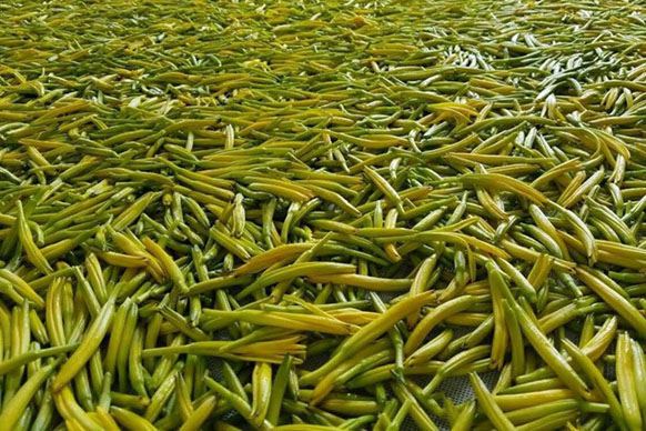 無硫金針菜烘干如何保持品相？不發(fā)黑？_除濕機(jī)廠家