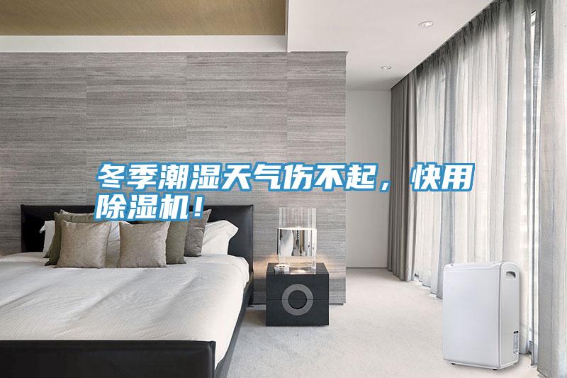 冬季潮濕天氣傷不起，快用除濕機(jī)！