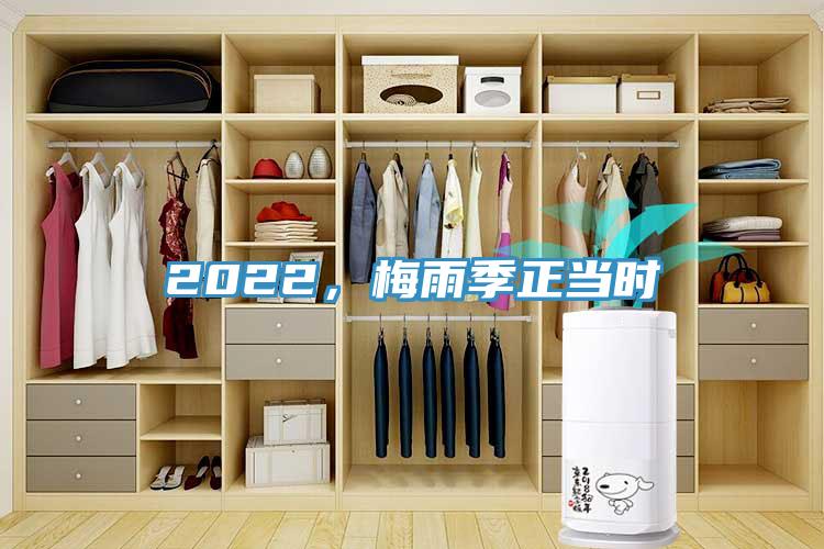 2022，梅雨季正當(dāng)時(shí)