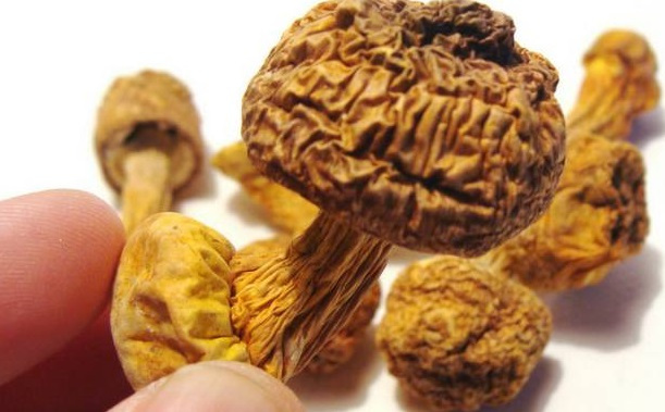 巴西菇、姬松茸烘干機(jī)-怎樣烘干色澤好且菇體褶片完整？