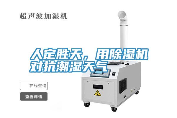 人定勝天，用除濕機對抗潮濕天氣