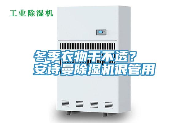 冬季衣物干不透？ 安詩曼除濕機很管用