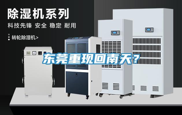 東莞重現(xiàn)回南天？