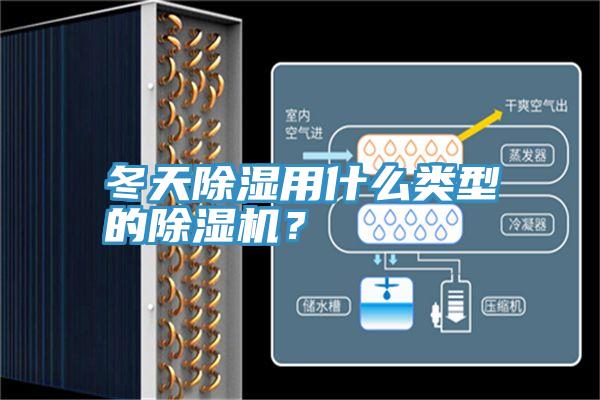 冬天除濕用什么類型的除濕機？