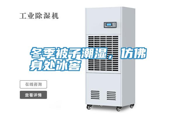 冬季被子潮濕，仿佛身處冰窖