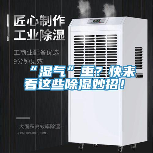 “濕氣”重？快來看這些除濕妙招！