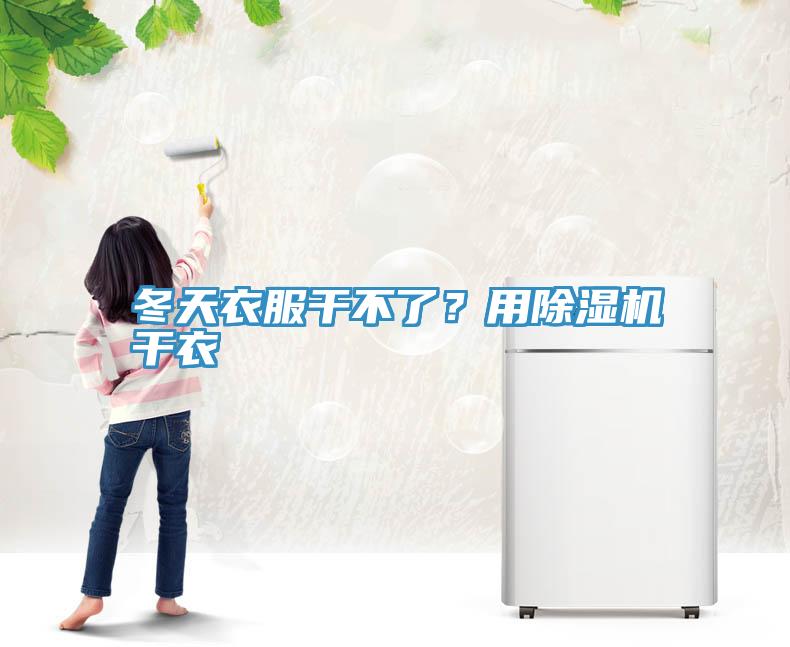 冬天衣服干不了？用除濕機干衣