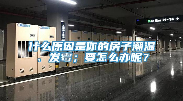 什么原因是你的房子潮濕、發(fā)霉；要怎么辦呢？