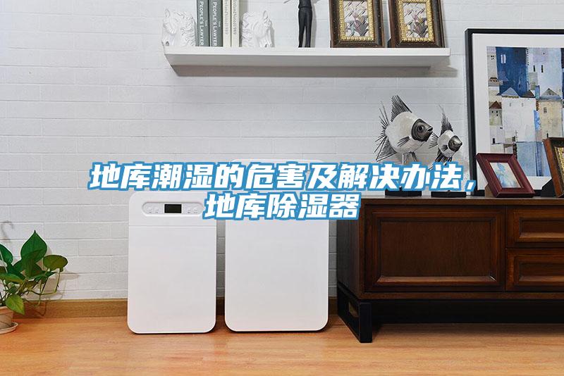 地庫(kù)潮濕的危害及解決辦法，地庫(kù)除濕器