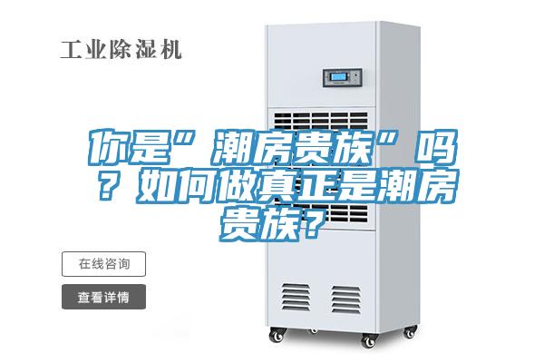 你是”潮房貴族”嗎？如何做真正是潮房貴族？