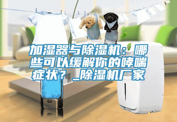 加濕器與除濕機(jī)：哪些可以緩解你的哮喘癥狀？_除濕機(jī)廠家