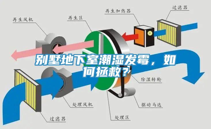 別墅地下室潮濕發(fā)霉，如何拯救？