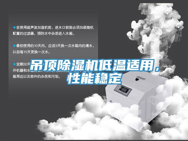 吊頂除濕機(jī)低溫適用，性能穩(wěn)定