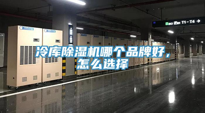 冷庫除濕機哪個品牌好，怎么選擇