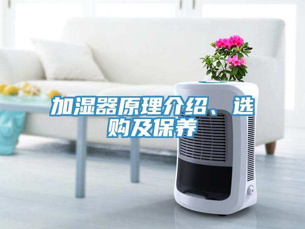 加濕器原理介紹、選購及保養(yǎng)