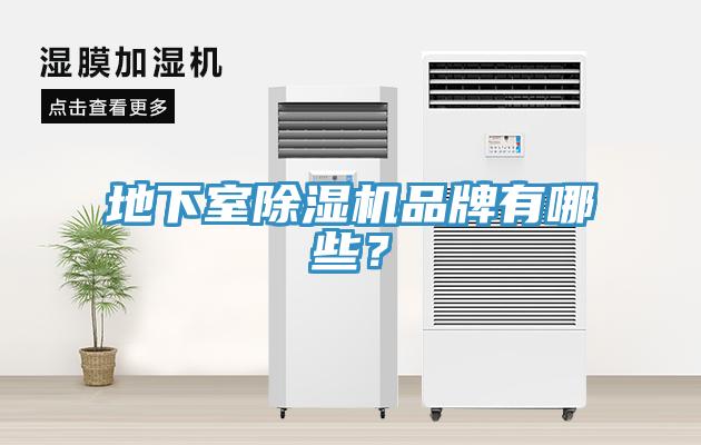 地下室除濕機(jī)品牌有哪些？